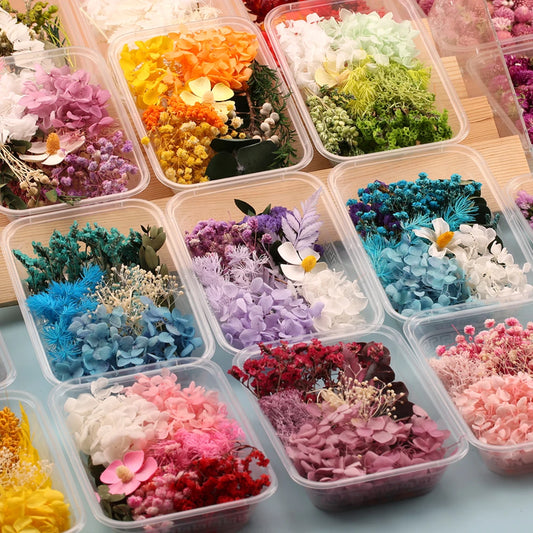 1 Box Natural Real Dried Flowers for Resin Artificial Plants Diy Home